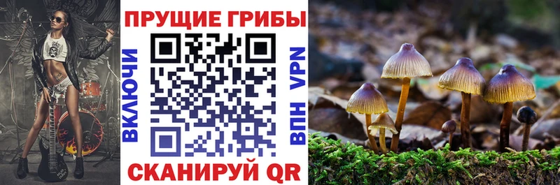 Псилоцибиновые грибы мухоморы  где купить наркоту  Арск 